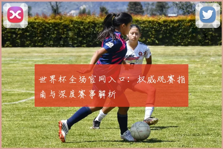 世界杯全场官网入口:权威观赛指南与深度赛事解析