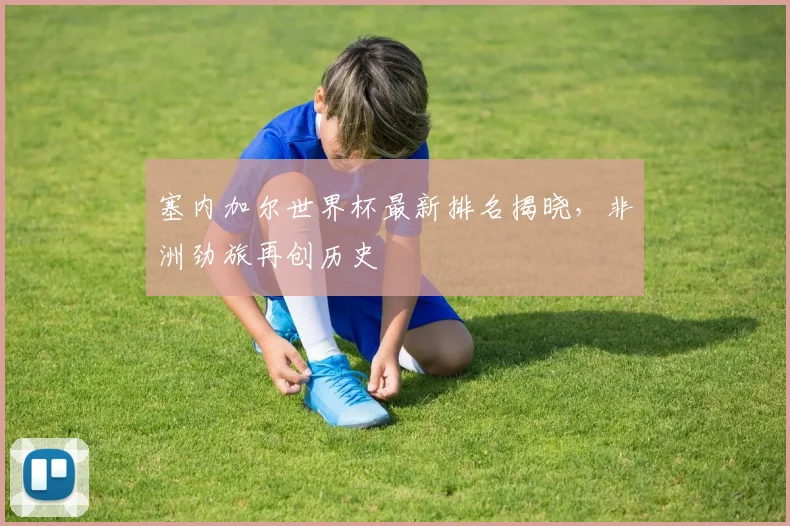 塞内加尔世界杯最新排名揭晓,非洲劲旅再创历史