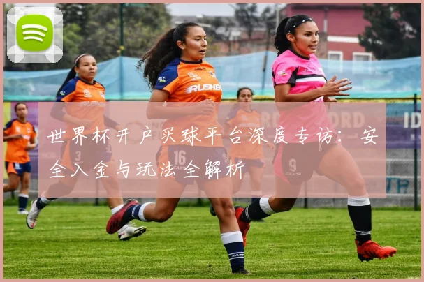世界杯开户买球平台深度专访:安全入金与玩法全解析