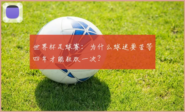 世界杯足球赛：为什么球迷要苦等四年才能狂欢一次？