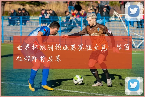 世界杯欧洲预选赛赛程全览：绿茵征程即将启幕