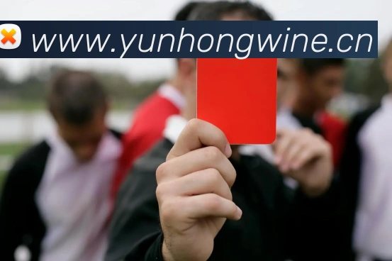 开云手机在线登陆入口平台生态图